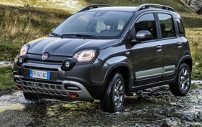 PANDA CROSS