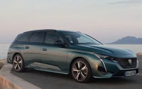 308 SW Hybrid